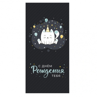 404 Открытка-конверт "С Днем Рождения. Котик белый на черном"